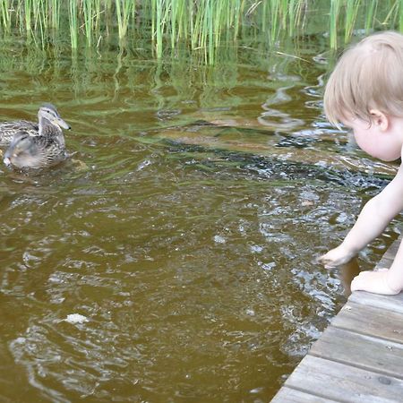 Moekki Etelaeranta Villa Mikkeli Dış mekan fotoğraf